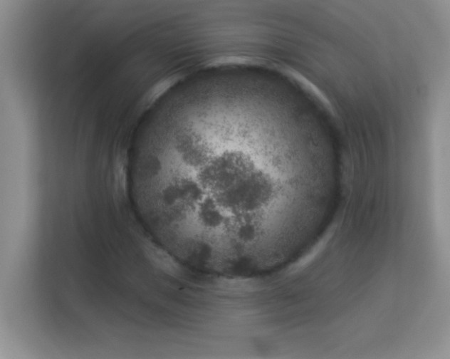 X0000113920921200909241526