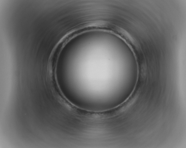 X0000113920923200909241527