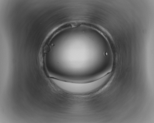 X0000113920925200909241527