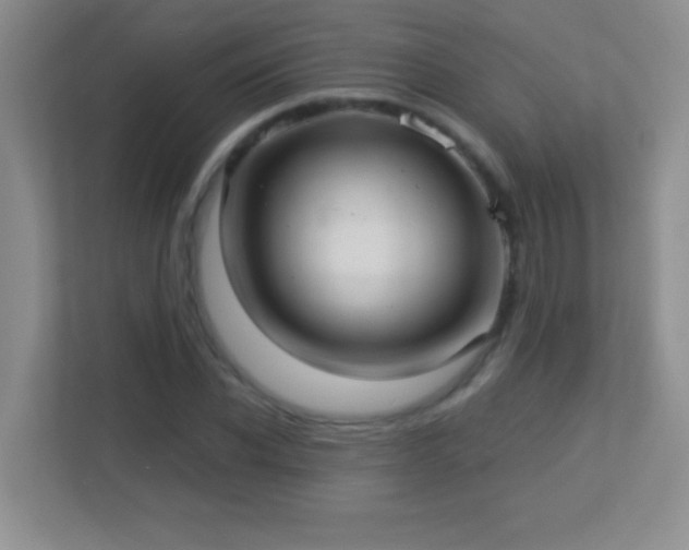 X0000113920926200909241527