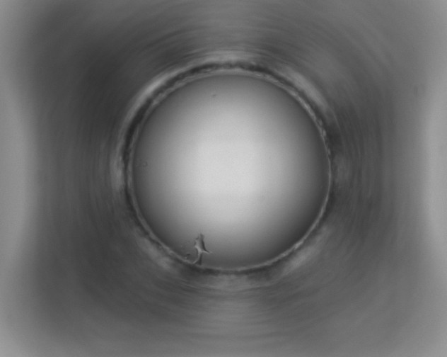 X0000113920927200909241527