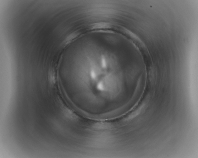 X0000113920929200909241527