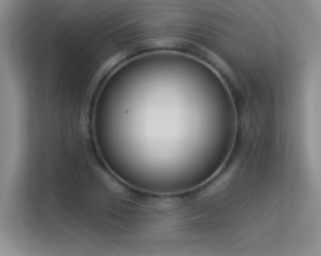 X0000113920930200909241527