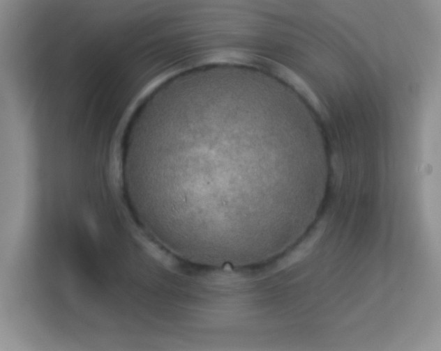 X0000113920931200909241527