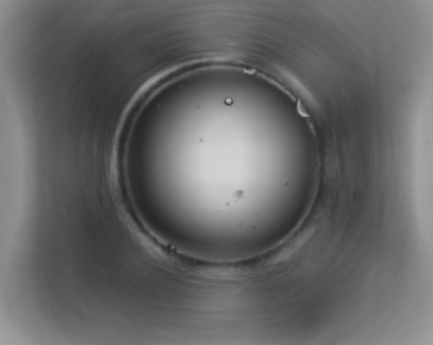 X0000113920932200909241527