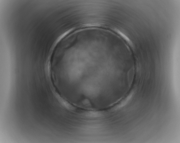 X0000113920933200909241527