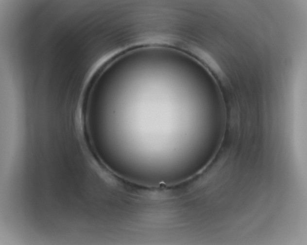 X0000113920936200909241527