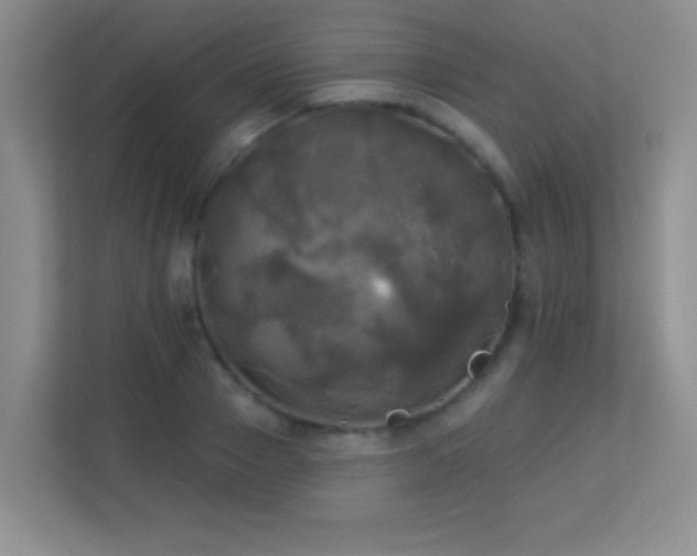 X0000113920937200909241527