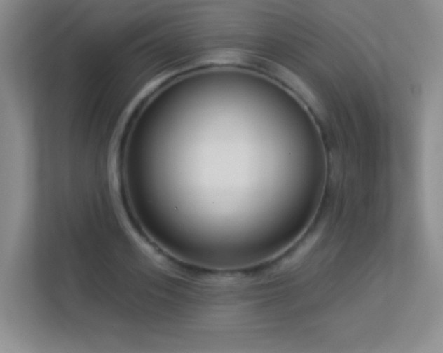 X0000113920939200909241527