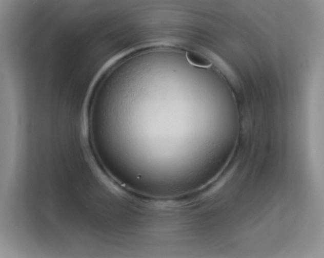 X0000113920940200909241527