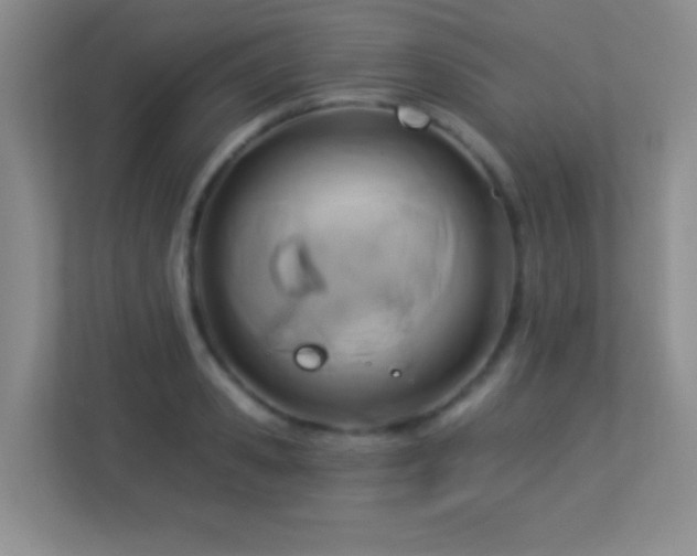 X0000113920941200909241527