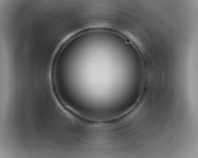 X0000113920943200909241527