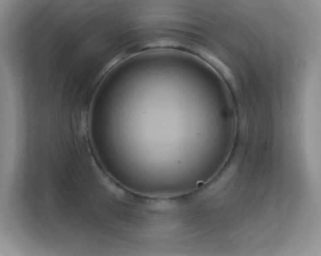 X0000113920945200909241527