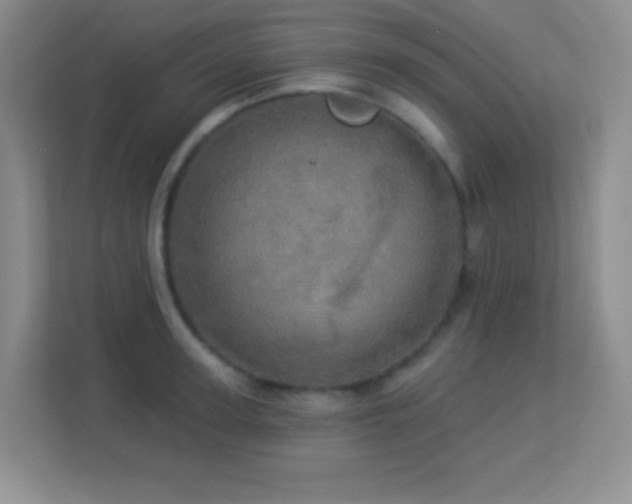 X0000113920947200909241527