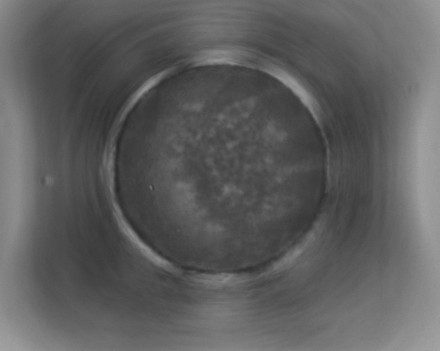 X0000113920949200909241527