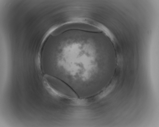 X0000113920952200909241527