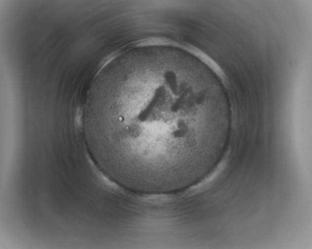 X0000113920953200909241527