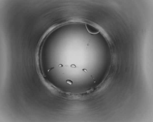 X0000113920955200909241527