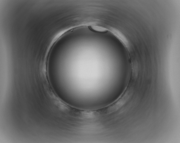 X0000113920956200909241527