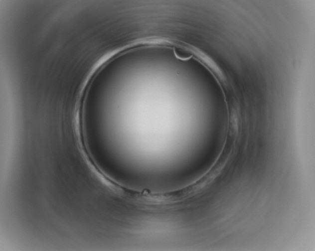 X0000113920959200909241527