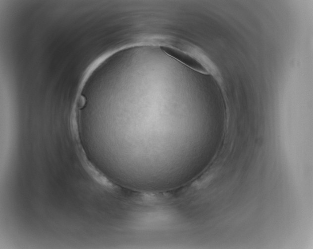 X0000113920960200909241527