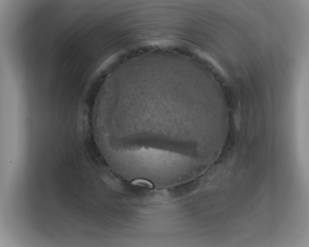 X0000113920968200909241526