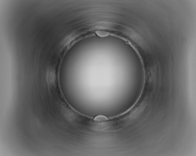 X0000113920969200909241526