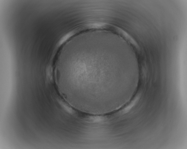 X0000113920970200909241526