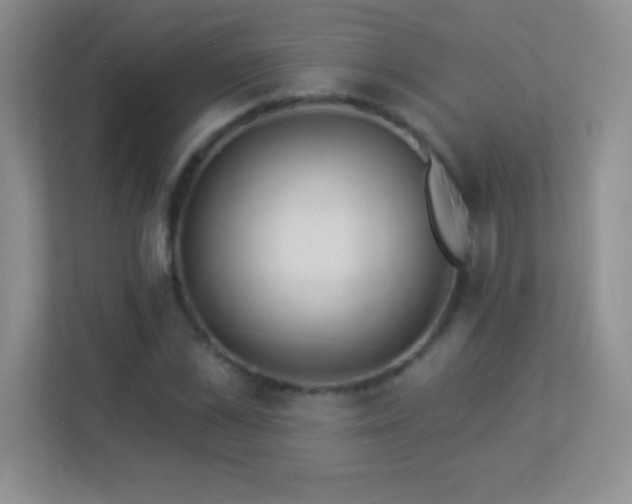 X0000113920973200909241526