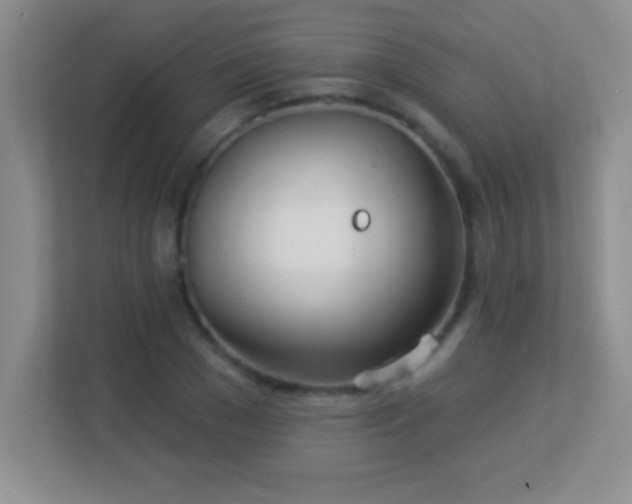 X0000113920977200909241526