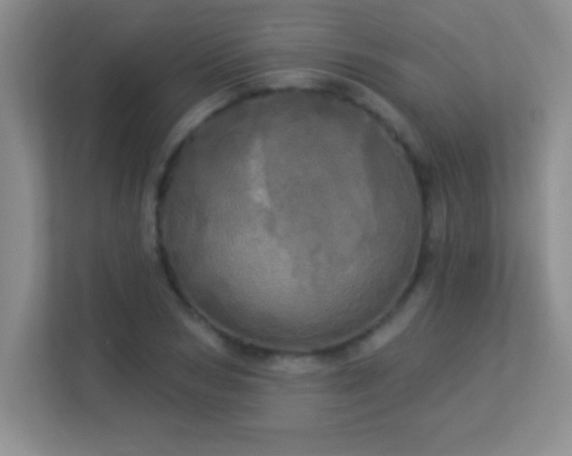 X0000113920978200909241526