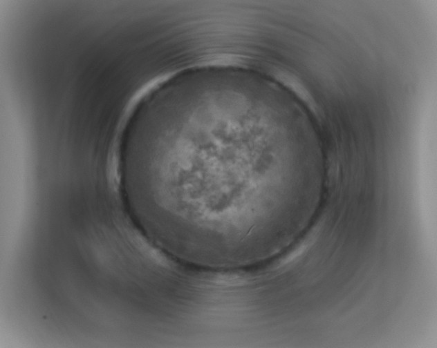 X0000113920979200909241526