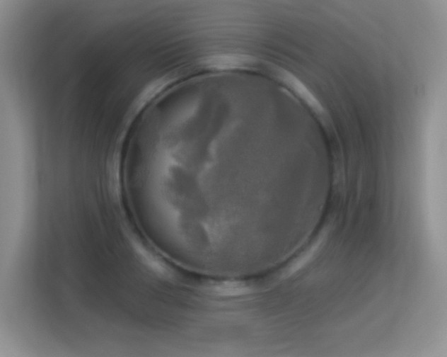 X0000113920986200909241526