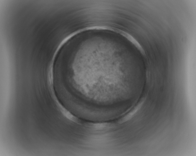 X0000113920988200909241526