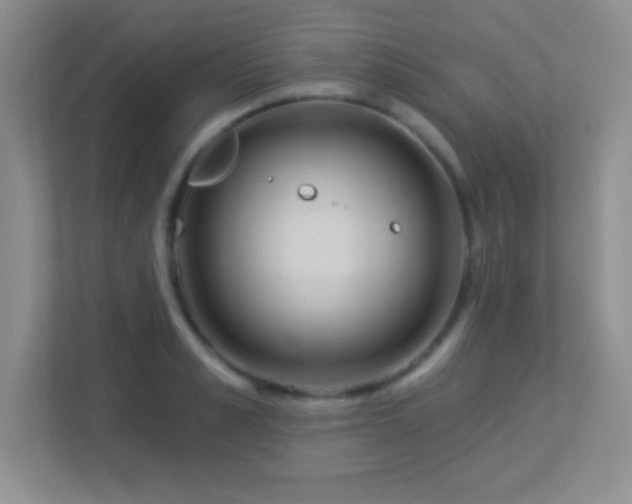 X0000113920989200909241526