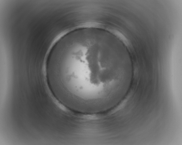 X0000113920990200909241526