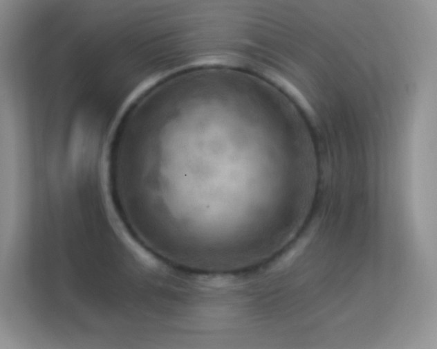 X0000113920991200909241526