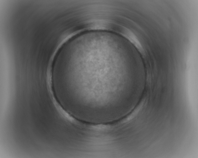 X0000113920992200909241526