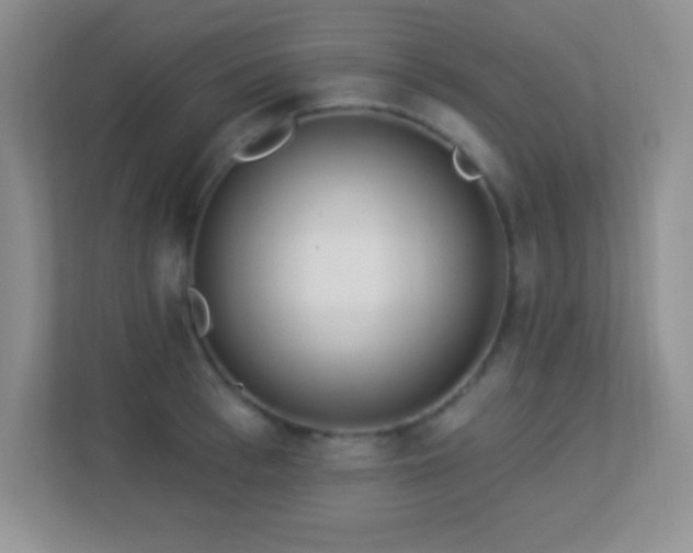 X0000113920993200909241526