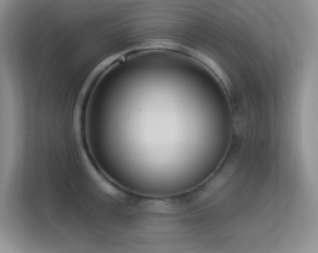 X0000113920995200909241526