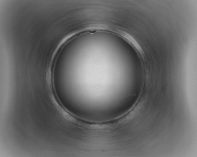 X0000113920996200909241526