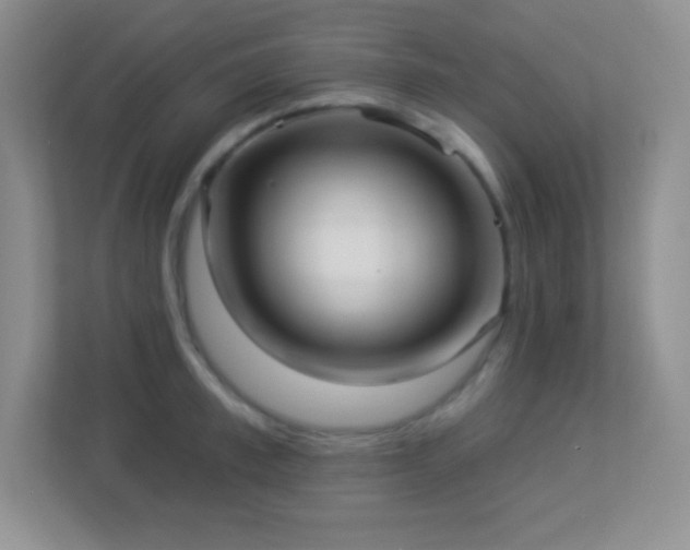 X0000113920997200909241526