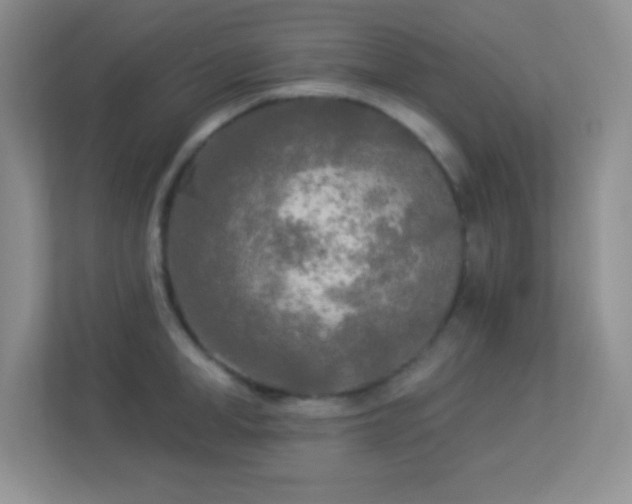 X0000113920998200909241526