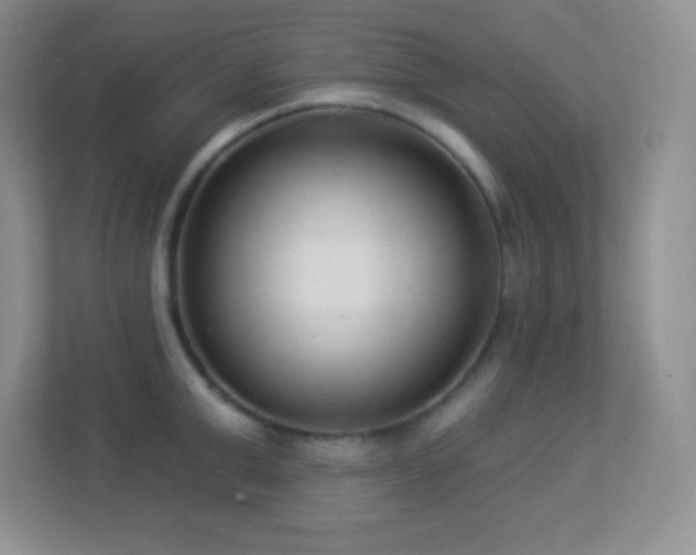 X0000113920999200909241526