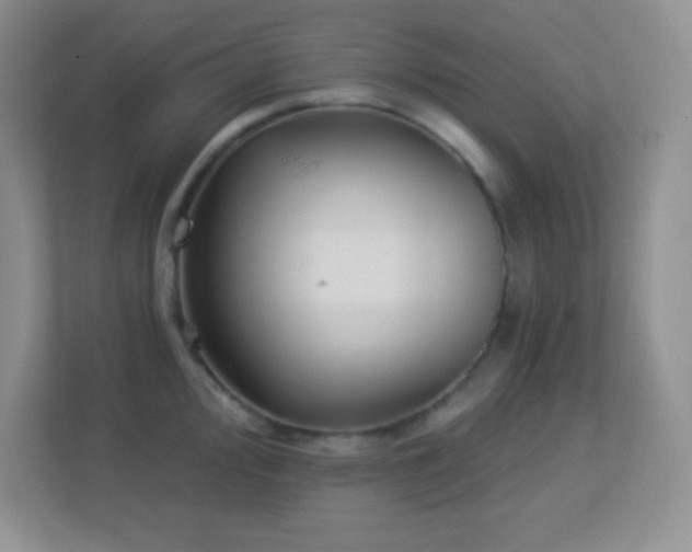 X0000113921000200909241526