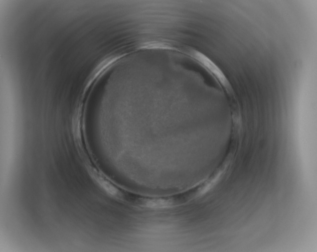 X0000113921002200909241526