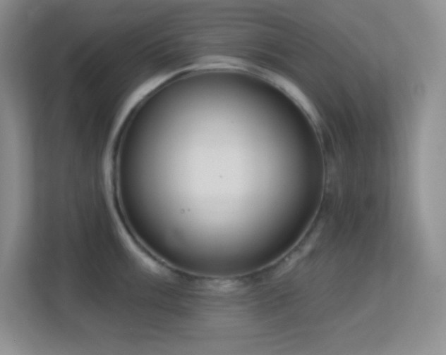 X0000113921003200909241526