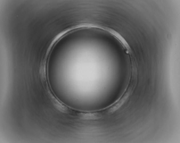 X0000113921004200909241526