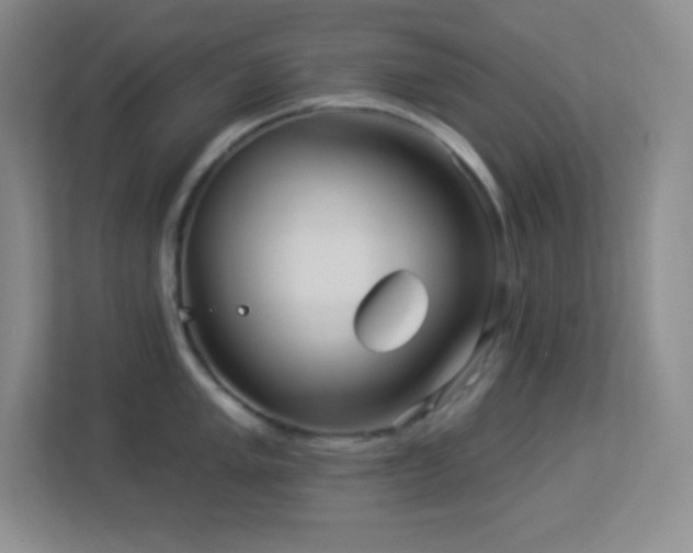 X0000113921005200909241526