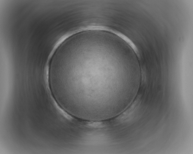 X0000113921006200909241526